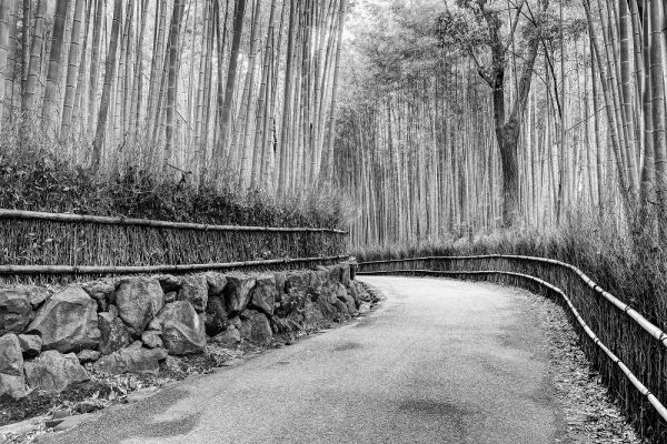 Flaherty, Dennis 아티스트의 Japan, Kyoto Walkway through Arashiyama Grove작품입니다.